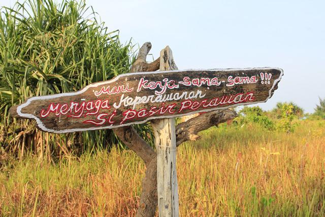 Pari Solata Seaview Homestay Syariah Kepulauan Seribu Luaran gambar