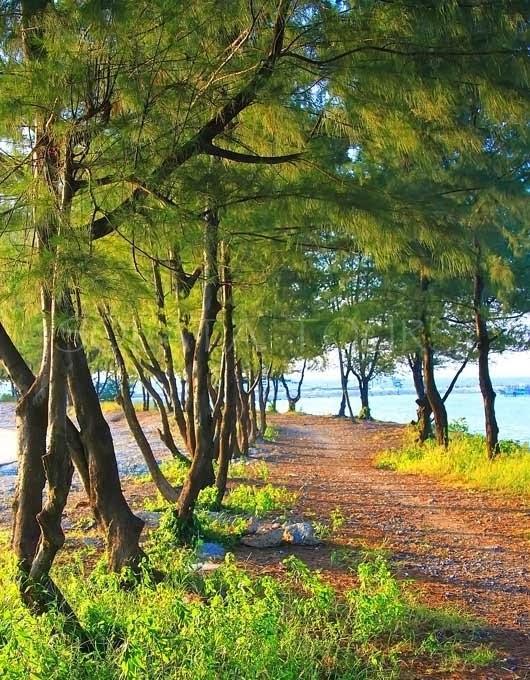 Pari Solata Seaview Homestay Syariah Kepulauan Seribu Luaran gambar